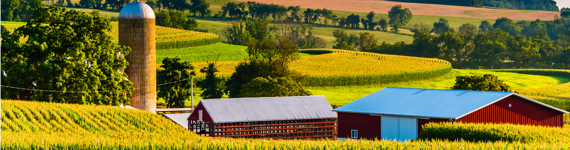 farmers insurance | Future Insurance Agency